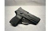Sig Sauer P250 9mm - 4 of 6