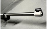 Ruger 10/22 .22 LR - 9 of 9