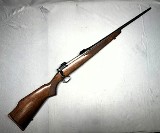 Savage Model 110 .243 Win.