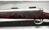 Remington Model 700 (H-S Precision) .308 Win - 4 of 9