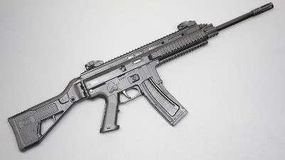 Mauser M 15 .22 LR - Image 1 of 8