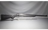 Ruger ~ American ~ .22 Long Rifle - 1 of 6