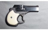 High Standard ~ DM-101 ~ 22 Magnum - 1 of 2
