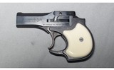 High Standard ~ DM-101 ~ 22 Magnum - 2 of 2