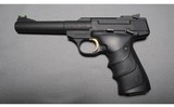 Browning ~ Buckmark ~ 22LR - 2 of 2