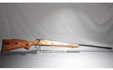 Remington ~ 700 ~ 17 Remington
