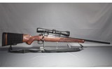 Winchester ~ Model 70 ~ 308 Winchester