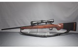 Winchester ~ Model 70 ~ 308 Winchester - 4 of 6
