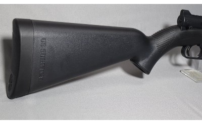 Henry ~ H002B ~ 22 LR