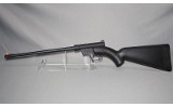 Henry ~ H002B ~ 22 LR - 2 of 6