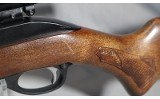 Marlin ~ Glenfield 60 ~ 22 LR - 11 of 11