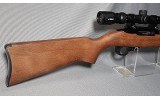 Ruger ~ 10/22 ~ .22 Long Rifle - 2 of 7