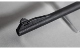 Charter Arms ~ AR-7 ~ .22 Long Rifle - 8 of 9