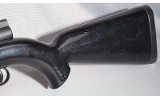 Charter Arms ~ AR-7 ~ .22 Long Rifle - 9 of 9