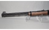 Henry ~ H001 ~ .22 S, L, LR - 5 of 6