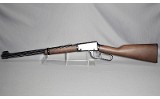 Henry ~ H001 ~ .22 S, L, LR - 4 of 6