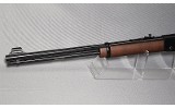 Henry ~ H001 ~ .22 S, L, LR - 6 of 7
