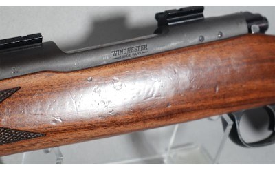 Winchester ~ Model 70 Westerner ~ .243 Winchester - Image 11 of 11
