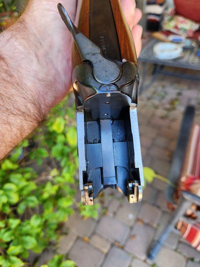 Zoli Kronos 12 Gauge - Image 13 of 13
