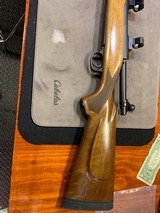 Winchester 300 RUM - 7 of 14