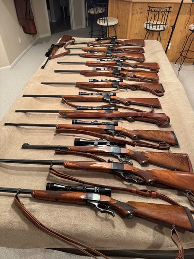Ruger no 1 rifle collection.