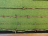 1870-90s Western Barb wire wall display - 3 of 3