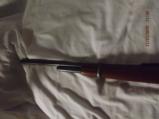 Special Order Winchester Model 1894 Carbine - 12 of 13