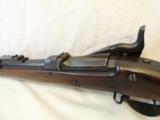 Fantastic Springfield Model 1884 Rifle- 4 of 12
