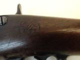 Fantastic Springfield Model 1884 Rifle- 8 of 12