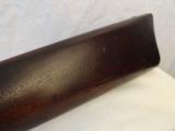 Fantastic Springfield Model 1884 Rifle- 9 of 12