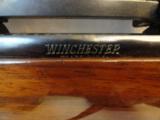 Near Mint Winchester Model 70 in 22-250 Heavy Barrel Sightless Target Rifle(1980) - 4 of 13