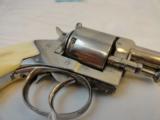 Incredible Webley English Bulldog NO 2 in ..442 Wm Moore & Co Large Cal. - 7 of 7