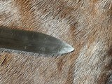 Swiss 1914 Schmidt Rubin Waffenfabrik Neuhausen saw back bayonet - 12 of 16