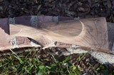Ruger No. 1 or 3 stock set for sale - 2 of 10