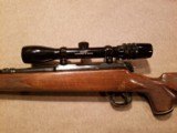 BSA Short Action Rifle in 222 Remington - 7 of 14