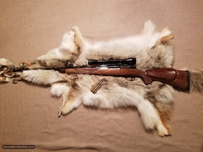 Monte Kennedy Apex Rifle Company Custom Rifle 270 Win