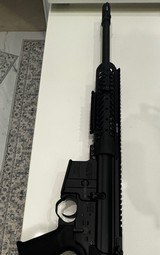 DPMS .300 AAC BLK Custom - 3 of 4