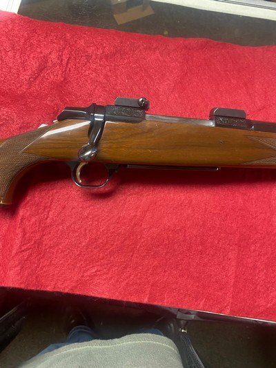 Browning a bolt gold medallion in 300 mag