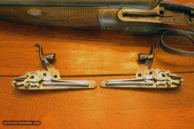 Joseph Lang 12 bore Double Hammergun- Image 13 of 15