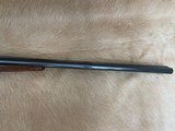 CHARLES DALY EMPIRE SxS 3” Magnum - 7 of 13