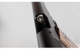Browning ~ 1911-22 ~ .22 Long Rifle - 6 of 8