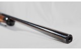 Savage Arms ~ Model 93 Classic ~ .17 HMR - 9 of 9