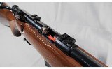 Savage Arms ~ Model 93 Classic ~ .17 HMR - 7 of 9