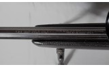 Ruger ~ 10/22 Custom ~ .22 Long Rifle - 8 of 9