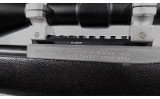Ruger ~ 10/22 Custom ~ .22 Long Rifle - 7 of 9