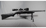 Ruger ~ 10/22 Custom ~ .22 Long Rifle - 1 of 9