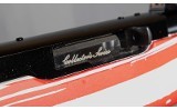 Ruger ~ 10/22 Collector's Series "Vote 2024" ~ .22 Long Rifle - 8 of 8
