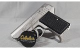 AMT ~ Back Up 380 ~ .380 Auto