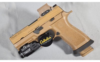 Sig Sauer ~ P320 M18X ~ 9mm Luger