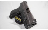 Springfield Armory ~ XD-9 Subcompact ~ 9mm Luger - 3 of 6